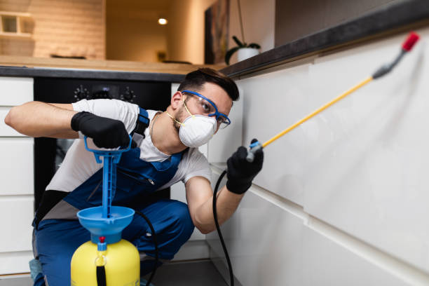 Pest Control Cost in Port Byron, NY