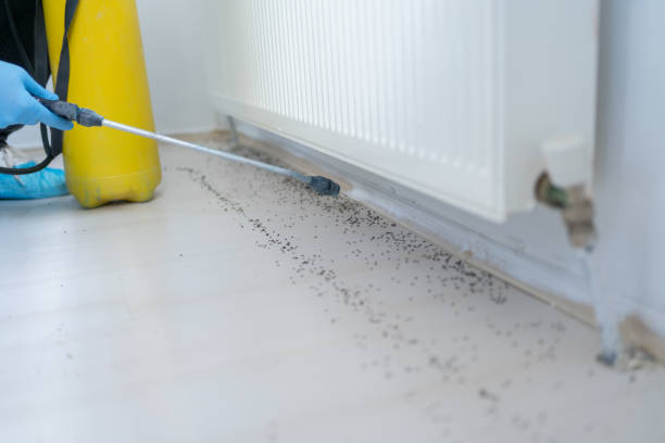 Best Pest Prevention Services  in Port Byron, NY